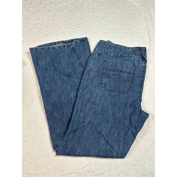 Daisy Fuentes Denim - Daisy Fuentes Blue Dream Denim Flare/Bootcut Jeans size 10p